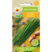 Nasiona i cebule - Szczypiorek Bohemia nasiona warzyw 2g TORAF - miniaturka - grafika 1