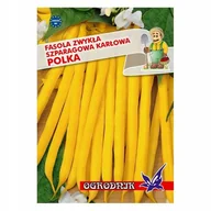 Nasiona i cebule - Fasola żółta karłowa Polka 40g / O / - miniaturka - grafika 1