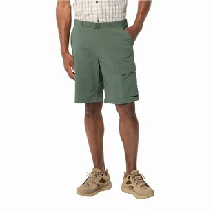 Krótkie spodenki męskie Jack Wolfskin WANDERTHIRST SHORTS M hedge green - 56 - Spodenki męskie - miniaturka - grafika 1