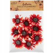 Nasiona i cebule - DEKORACJA KWIATKI JESIENNE MATERIAŁOWE 10 szt 492 - miniaturka - grafika 1