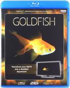 Filmy dokumentalne Blu-ray - Plasma Art - Goldfish - miniaturka - grafika 1