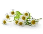 Pasze dla zwierząt - Rumianek EQUIHERBS kwiat 500g - miniaturka - grafika 1