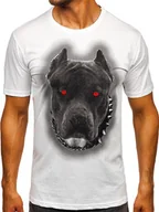 Koszulki męskie - Biały bawełniany t-shirt męski z nadrukiem Denley 5066 - miniaturka - grafika 1
