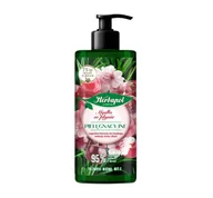 Mydła - HERBAPOL PIELĘGNACYJNE MYDŁO W PŁYNIE 390ML - miniaturka - grafika 1