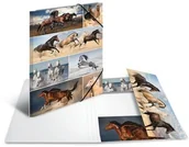 Teczki i skoroszyty - Teczka A3 KONIE z gumkami - miniaturka - grafika 1