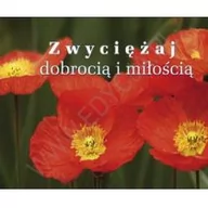 Aforyzmy i sentencje - Edycja Świętego Pawła praca zbiorowa Perełka 193. Zwyciężaj dobrocią i miłością - miniaturka - grafika 1