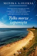 Literatura obyczajowa - Tylko morze zapamięta - miniaturka - grafika 1