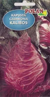 Nasiona i cebule - Kapusta głowiasta czerwona Kalibos 1 g POLAN - miniaturka - grafika 1