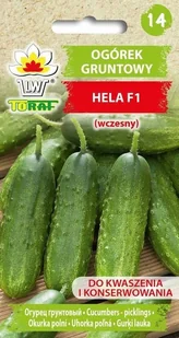 Ogórek Gruntowy Wczesny Hela 5G - Nasiona i cebule Ogórek Gruntowy Wczesny Hela 5G - Nasiona i cebule - miniaturka - grafika 1