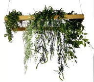 Półki do salonu - Półka sufitowa na linkach Złota - miniaturka - grafika 1