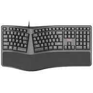 Klawiatury - Klawiatura C-Tech Ergo KB-113E, CZ/SK Layout (KB-113E) Czarna - miniaturka - grafika 1