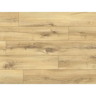 Panel podłogowy Casa Prima Dąb Merida AC5 7mm WR 2,467m2 - Panele podłogowe - miniaturka - grafika 1