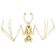 Halloween - Arpex, Szkielet nietoperza - miniaturka - grafika 1