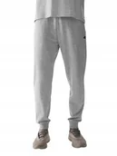 Spodnie męskie - SPODNIE męskie dresowe 4F 4FWSS24TTROM603-27M szare joggery dresy 3XL - miniaturka - grafika 1