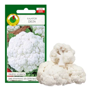 Kalafior Delta Średnio Wczesny Nasiona Bez Gmo - Nasiona i cebule - miniaturka - grafika 1