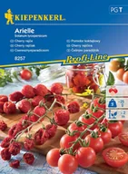 Nasiona i cebule - Pomidor Koktajlowy Arielle F1 8257 (St) - miniaturka - grafika 1