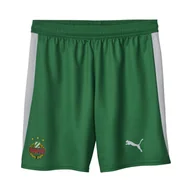 Spodnie sportowe męskie - Męskie szorty SK Rapid Wiedeń 25/26 PUMA White Sport Green - miniaturka - grafika 1