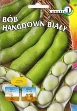 Bób Hangdown Biały 20g / L / - Nasiona i cebule - miniaturka - grafika 1