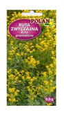 Nasiona i cebule - Ruta zwyczajna 0,5 g POLAN - miniaturka - grafika 1