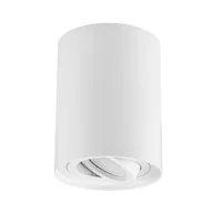 Lampy sufitowe - OPRAWA NATYNKOWA SPOT TUBA BIAŁA CONE W1 - miniaturka - grafika 1