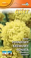 Nasiona i cebule - Aster peoniowy kremowy Sonata 1g / L / - miniaturka - grafika 1