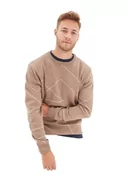 Swetry męskie - Trendyol Męska bluza z okrągłym dekoltem, geometryczny wzór, wąski sweter, kolor norek, L, Kolor norek, L - miniaturka - grafika 1