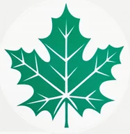 Akcesoria motoryzacyjne - Naklejka Uv Avisa Zielony Listek - miniaturka - grafika 1