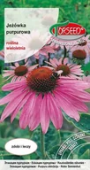 Nasiona i cebule - Jeżówka purpurowa, Echinacea purpurea 0,2g - Torseed - miniaturka - grafika 1