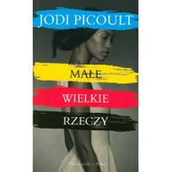 Klasyka - MAŁE WIELKIE RZECZY WYD KIESZONKOWE Jodi Picoult - miniaturka - grafika 1