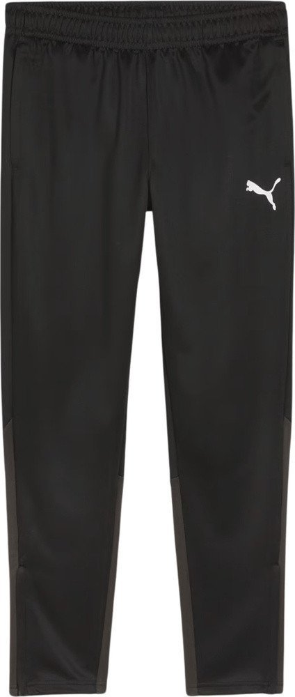 Spodnie męskie Puma Team Goal Training czarne 658639 03 L