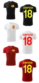 Koszulki sportowe męskie - Treningowa Koszulka SPAIN Martin ZUBIMENDI 18 - miniaturka - grafika 1
