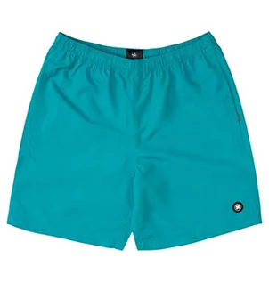 Spodnie i spodenki dla chłopców - DC Shoes Szorty chłopięce Late Daze 16" - Elasticated Shorts For Boys zielony S EDBWS03069-gpf0 - grafika 1