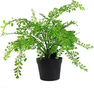 Sztuczne drzewka - Leaf Design UK AZ-Foliage Realistyczna sztuczna roślina liściowa z palmą w doniczce 50 cm - miniaturka - grafika 1