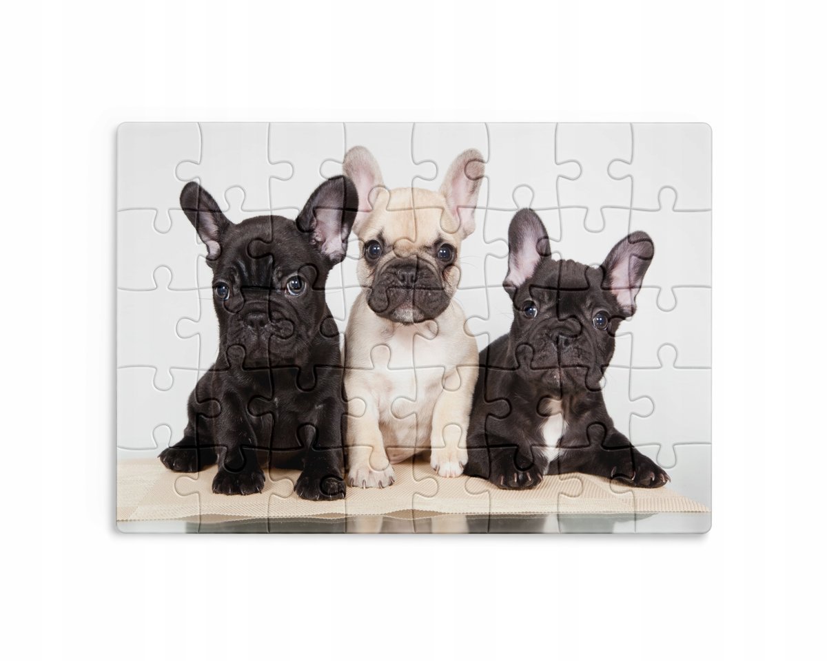 Puzzle 30/70/96/110 Elementów Sublimacja Eko Pudełko Pieski Różne Grafiki