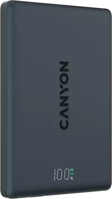 Powerbank Canyon On Power 500 5000 mAh czarny Przenośne źródło zasilania CNS-CPB500B 5291485019563