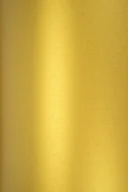 Dekoratorstwo - [ M.F.10 ] Papier Aster Met. 120g Cherish złoty - 10A4 / al *  Papier Aster Met. 120g Cherish pak. 10A4 - miniaturka - grafika 1