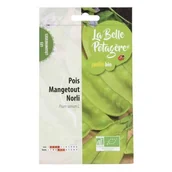 Nasiona i cebule - Nasiona do siewu - groszek Norli Mangetout - 50 g - miniaturka - grafika 1