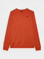 Bluzy męskie - BLUZA MĘSKA TSWSM1767 4F M - miniaturka - grafika 1