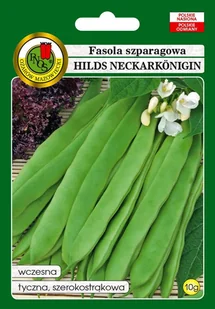 Fasola szparagow zielona Hilds Neckarkon 10 g PNOS - Nasiona i cebule - miniaturka - grafika 1