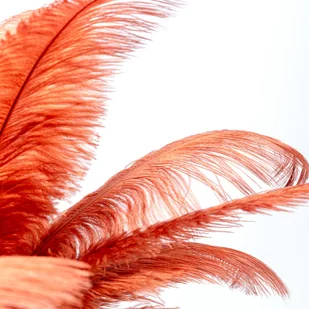 KARE Feather Palm lampa stołowa z piórami, rdza - Lampy stojące - miniaturka - grafika 1