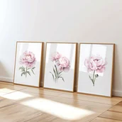 Obrazy i zdjęcia - Pastelowe Różowe Piwonie - Zestaw trzech grafik botanicznych - miniaturka - grafika 1