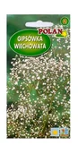 Nasiona i cebule - Gipsówka wiechowata - łyszczec 1 g POLAN - miniaturka - grafika 1