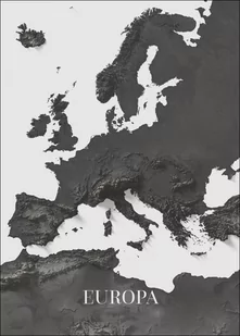 Europa mapa czarno biała Afryka - plakat Wymiar do wyboru: 20x30 cm - Plakaty - miniaturka - grafika 1