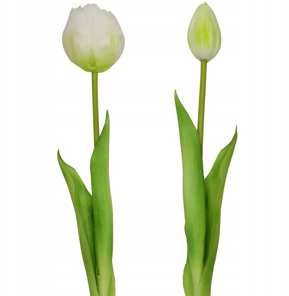 Saska Garden BUKIET 5 TULIPANÓW PIWONIOWYCH BIAŁYCH 39CM JAK ŻYWYCH DEKORACJA WIOSENNA