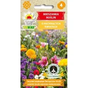 Nasiona i cebule - Mieszanka kwiatów pachnących nasiona kwiatów 1g - miniaturka - grafika 1