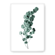 Plakaty - Dekoria Dekoria Plakat Eucalyptus Emerald Green 21 x 30 cm Ramka Biała 218D-000-02 - miniaturka - grafika 1