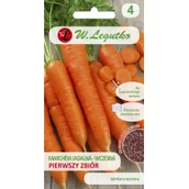 Nasiona i cebule - Legutko Marchew PIERWSZY ZBIÓR - miniaturka - grafika 1