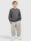 Koszulki dla chłopców - 4F Longsleeve loose z nadrukiem chłopięcy - szary 164 (13-14 lat) - miniaturka - grafika 1