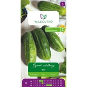 Nasiona i cebule - Ogórek gruntowy sałatkowy Dar nasiona warzyw W.Legutko - miniaturka - grafika 1