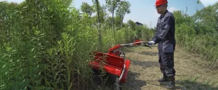 WEIBANG KARCZOWNICA  WB GT6813 - Kosiarki - miniaturka - grafika 4